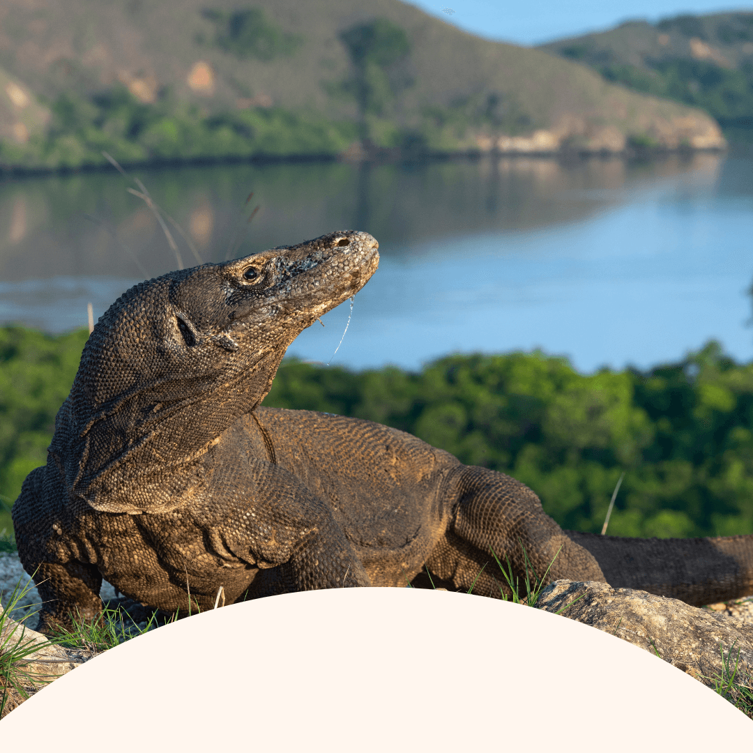 Nusa Lembongan, Bali