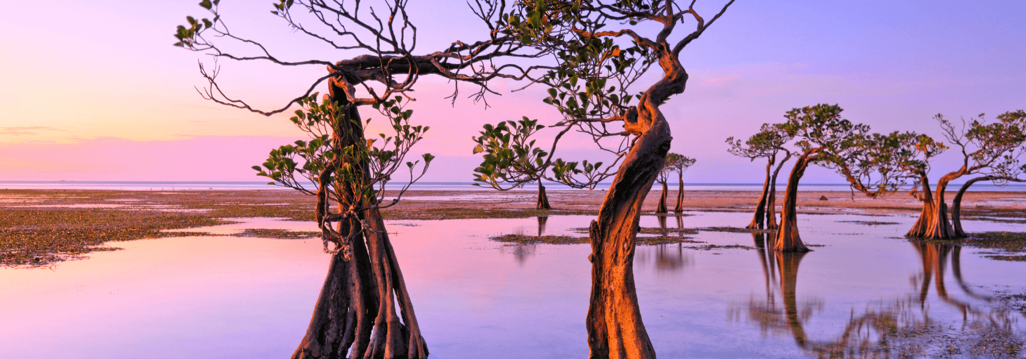 Voyage Sumba Bali Indonesie Circuits Voyage sumba bali indonesie circuits